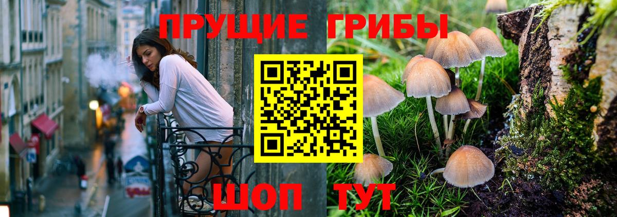 Псилоцибиновые грибы мицелий  Псилоцибиновые грибы Psilocybine cubensis  Вход с VPN  Асбест 